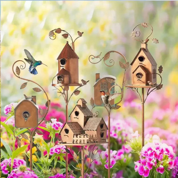 Garden Outdoor