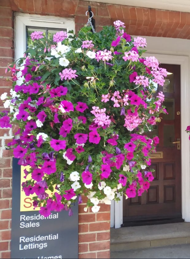 Everlasting Floral Home Decor Arrangement