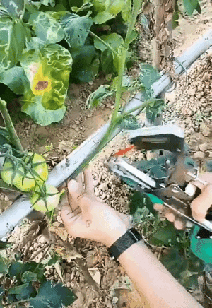 Garden Plant Tying Tool