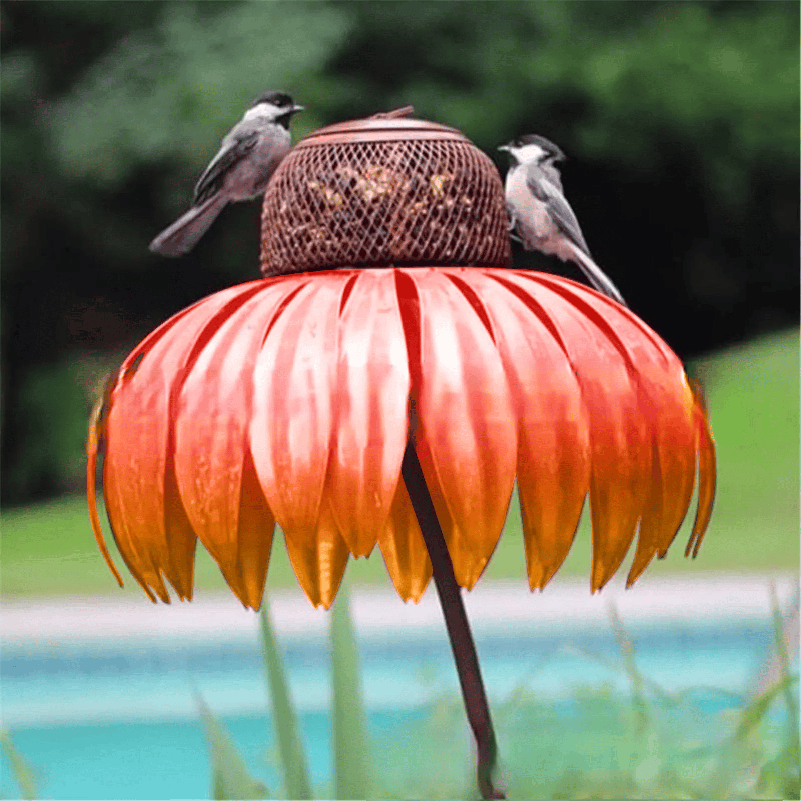 1+1 FREE | FlorAvian™ - Cone flower bird feeder [Last day discount]