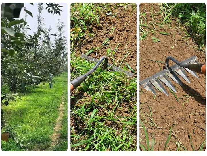 Iron Garden Weeding Rake