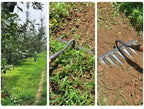 Iron Garden Weeding Rake